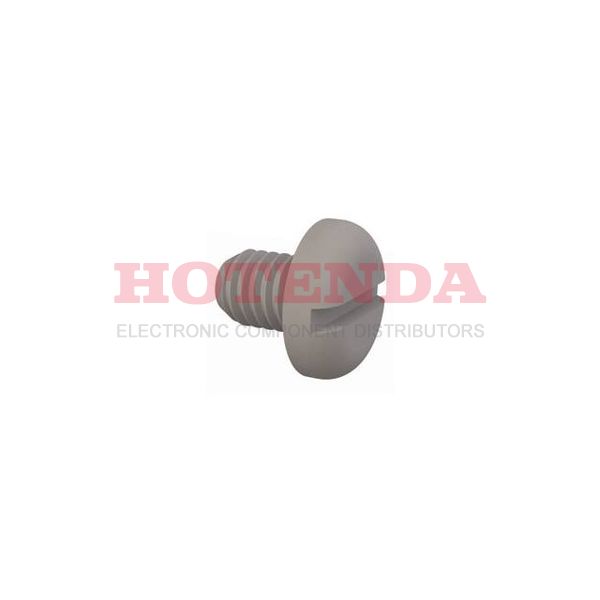 50M060100N005 - PAN SLOTTED SCREW, M6 X 1 THREAD