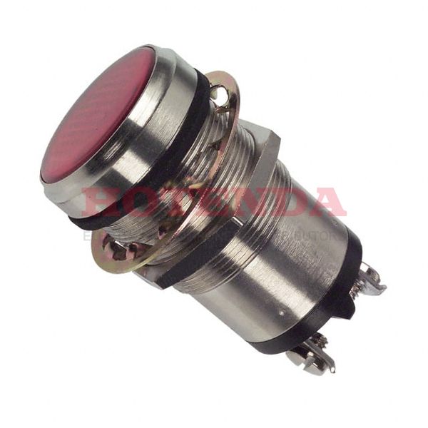 5561504304 - LED PNL MT 1" 24V WT FLAT RED