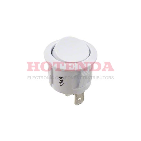 RRG31132200 - SWITCH ROCKER SPST 10A 125V