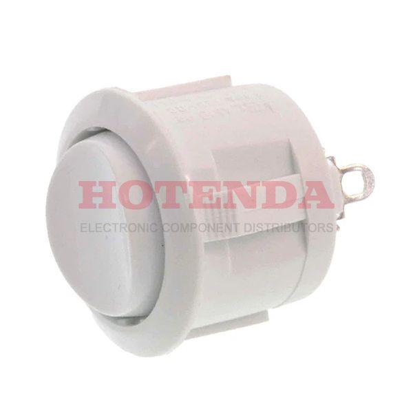 RRG35532200 - SWITCH ROCKER SPDT 10A 125V