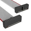 FFSD-10-D-30.00-01-N-D15-O - Cable Assembly Flat Ribbon 0.762m 30AWG 20 POS IDC Connector to 2(20 POS IDC Connector) SKT-SKT/SKT IDT-IDT/IDT Bulk