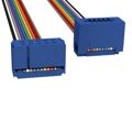 C3AEG-1036M - IDC CABLE - CSC10G/AE10M/CCE10G