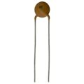 D101J29C0GH63L6R - CAP CER 100PF 100V NP0 RADIAL