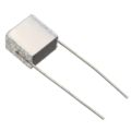 B32560J8103M189 - SilverCap™ B32560 10000pF Film Capacitor ±20% 2-DIP PC Pins 630V-DC 400V-AC Polyester, Polyethylene Terephthalate (PET), Metallized - Stacked