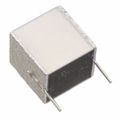B32561J3105K289 - SilverCap™ B32561 1μF Film Capacitor ±10% 2-DIP PC Pins 250V-DC 160V-AC Polyester, Polyethylene Terephthalate (PET), Metallized - Stacked Through Hole