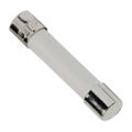 0505015.MXP - 0505015.MXP datasheet pdf and Fuses product details from Littelfuse Inc. stock available on our website