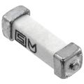 3405.0166.24 - SCHURTER 3405.0166.24FUSE, F TYPE, SMD, 1A