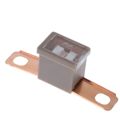0PAL270.X - 0PAL270.X datasheet pdf and Fuses product details from Littelfuse Inc. stock available on our website
