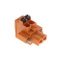 1982890000 - TERM BLOCK PLUG 2POS 5.08MM