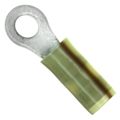 2-36161-6 - 2-36161-6 datasheet pdf and Terminals - Ring Connectors product details from TE Connectivity AMP Connectors stock available on our website