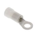 170647-2 - 170647-2 datasheet pdf and Terminals - Ring Connectors product details from TE Connectivity AMP Connectors stock available on our website