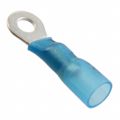 8-55850-2 - 8-55850-2 datasheet pdf and Terminals - Ring Connectors product details from TE Connectivity AMP Connectors stock available on our website