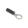 1577624-1 - 1577624-1 datasheet pdf and Terminals - Ring Connectors product details from TE Connectivity AMP Connectors stock available on our website