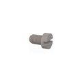 50M100150D016 - CHEESE SLOTTED SCREW, M10 X 1.5