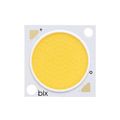 BXRE-50G4001-B-73