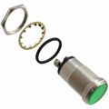 5561605304 - LED PNL MT 1" 125VAC WT FLAT GRN