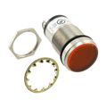 5561305304F - LED PNL MT 1" 125V WT FLAT YEL