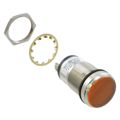 5561904324F - LED 1" FLAT ORG PMI 24V C1D2