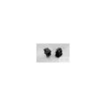 1571092-3 - 1571092-3 datasheet pdf and Rocker Switches product details from TE Connectivity stock available on our website